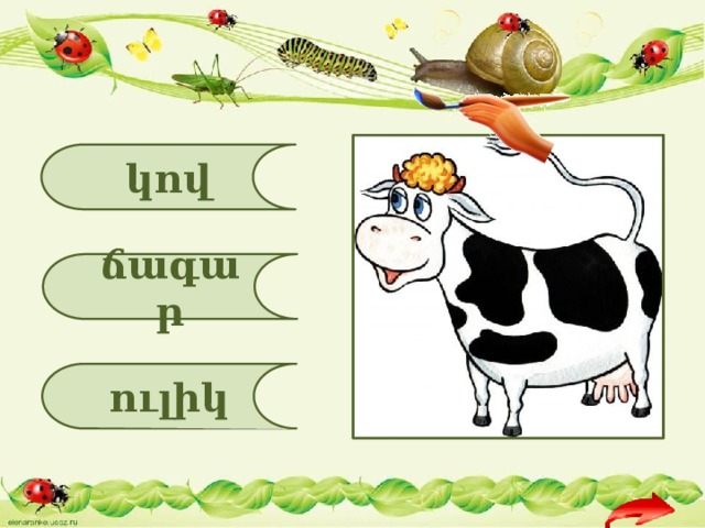 կով ճագար ուլիկ 