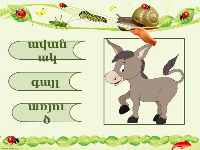 ավանակ գայլ առյուծ 