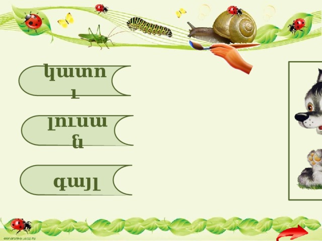 կատու լուսան գայլ 