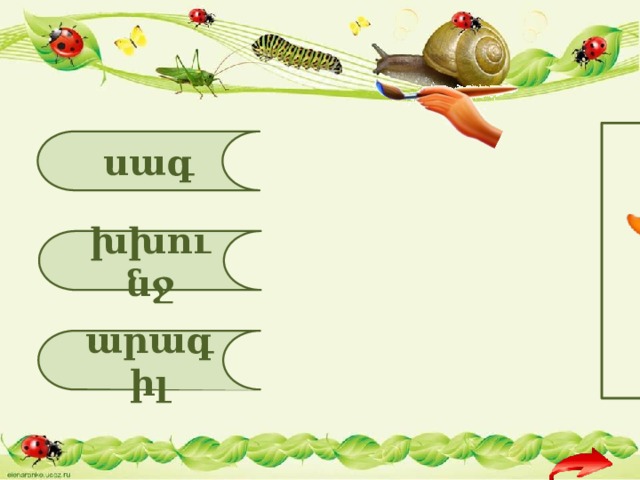 սագ խխունջ արագիլ 