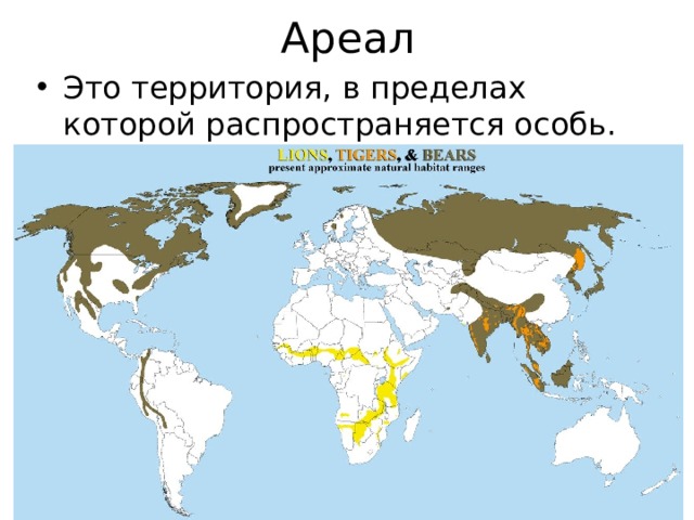 Места обитания медведей карта