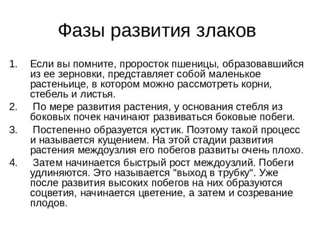 Фазы развития злаков Если вы помните, проросток пшеницы, образовавшийся из ее зерновки, представляет собой маленькое растеньице, в котором можно рассмотреть корни, стебель и листья.  По мере развития растения, у основания стебля из боковых почек начинают развиваться боковые побеги.  Постепенно образуется кустик. Поэтому такой процесс и называется кущением. На этой стадии развития растения междоузлия его побегов развиты очень плохо.  Затем начинается быстрый рост междоузлий. Побеги удлиняются. Это называется 