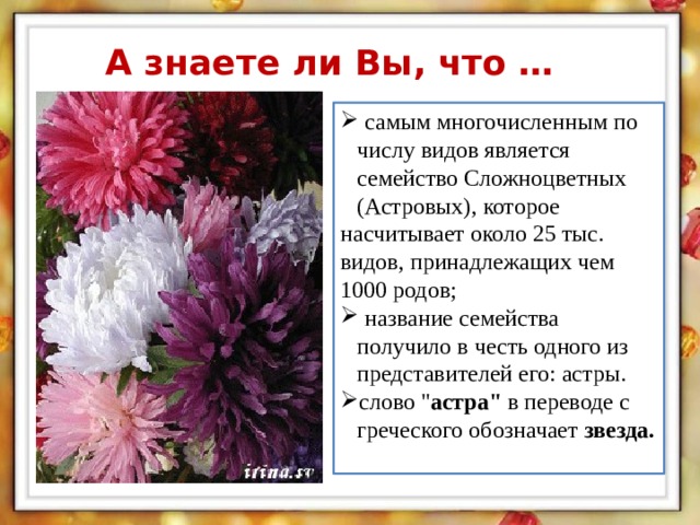 Семейство сложноцветные 6 класс биология презентация