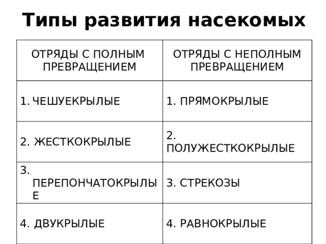 Развитие насекомых с полным превращением и неполным