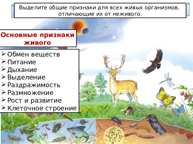 Признаки живого тесты. Движение признак живого. Не живые организмы. Основные признаки всех живых организмов. Признаки живого питание.