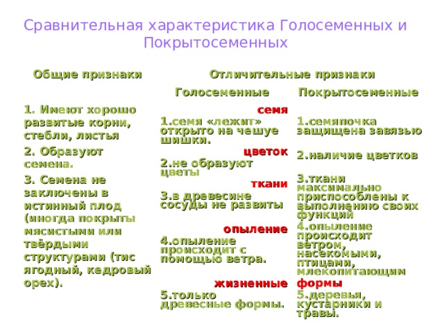 Сравнительная характеристика Голосеменных и Покрытосеменных Общие признаки Отличительные признаки Голосеменные 1. Имеют хорошо развитые корни, стебли, листья 2. Образуют семена. 3. Семена не заключены в истинный плод (иногда покрыты мясистыми или твёрдыми структурами (тис ягодный, кедровый орех).  Покрытосеменные семя 1.семя «лежит» открыто на чешуе шишки. цветок 2.не образуют цветы ткани 3.в древесине сосуды не развиты   опыление 4.опыление происходит с помощью ветра. 1.семяпочка защищена завязью   жизненные 5.только древесные формы.  2.наличие цветков  3.ткани максимально приспособлены к выполнению своих функций 4.опыление происходит ветром, насекомыми, птицами, млекопитающим формы 5.деревья, кустарники и травы.  