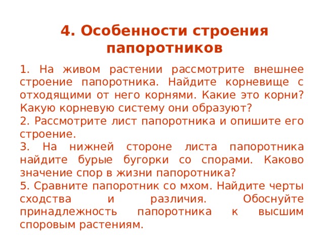 Лабораторная работа строение папоротника 7 класс пасечник. Особенности внешнего строения папоротника. Особенности внешнего строения папоротника связанные со средой. Особенности строения папоротника связанные со средой обитания