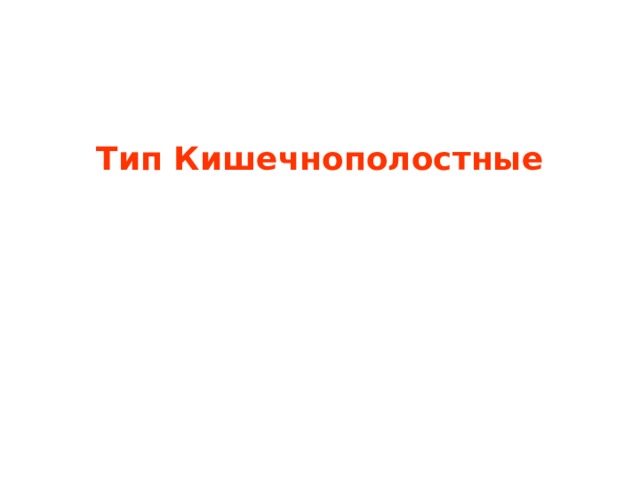    Тип Кишечнополостные 