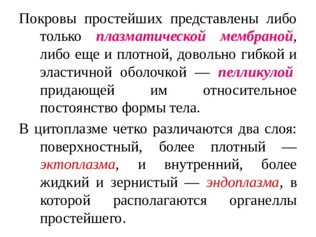 Либо представить. Покровы простейших. Строение покровов простейших. Особенности Покрова простейших. Покров тела Подцарство простейшие.