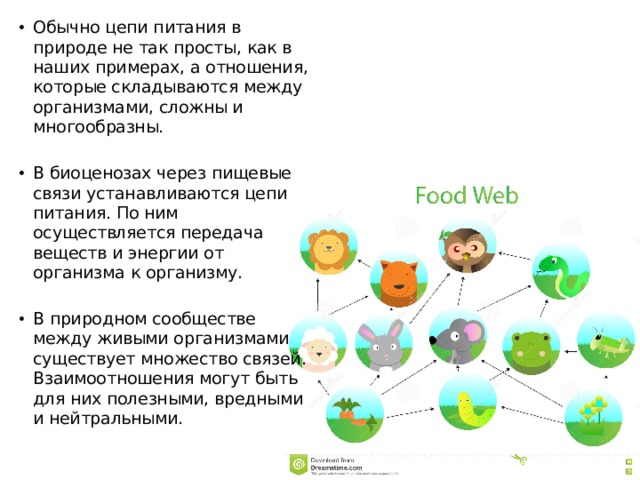 Пищевые связи в природных сообществах вопросы. Пищевые связи в природных сообществах 8 класс биология презентация. Природные сообщества 7 класс биология
