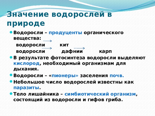 Схема значения водорослей в природе