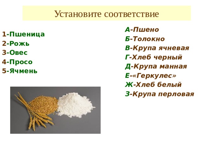 Установите соответствие А -Пшено Б -Толокно В -Крупа ячневая Г -Хлеб черный Д -Крупа манная Е -«Геркулес» Ж -Хлеб белый З -Крупа перловая  1 -Пшеница 2 -Рожь 3 -Овес 4 -Просо 5 -Ячмень 