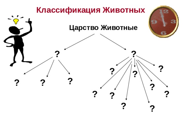 Классификация Животных Царство Животные ? ? ? ? ? ? ? ? ? ? ? ? ? ? 