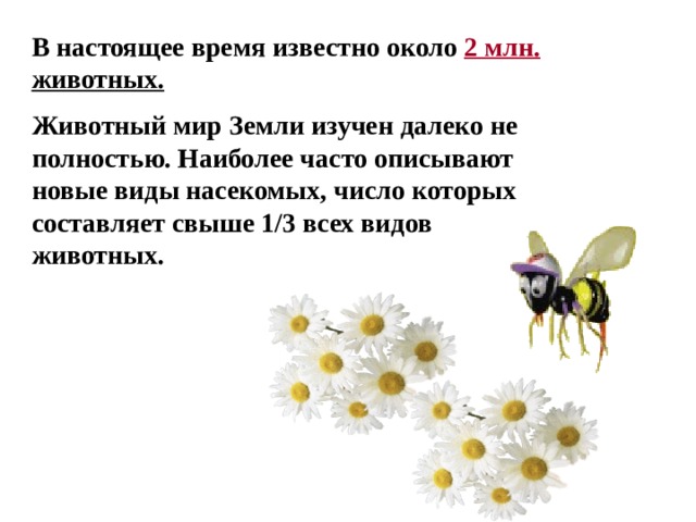 В настоящее время известно около 2 млн. животных. Животный мир Земли изучен далеко не полностью. Наиболее часто описывают новые виды насекомых, число которых составляет свыше 1/3 всех видов животных. 