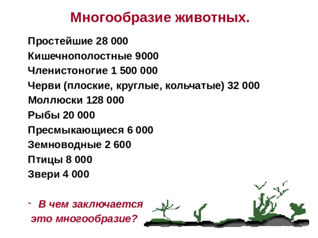 Многообразие животных. Простейшие 28 000 Кишечнополостные 9000 Членистоногие 1 500 000 Черви (плоские, круглые, кольчатые) 32 000 Моллюски 128 000 Рыбы 20 000 Пресмыкающиеся 6 000 Земноводные 2 600 Птицы 8 000 Звери 4 000   В чем заключается  это многообразие?  