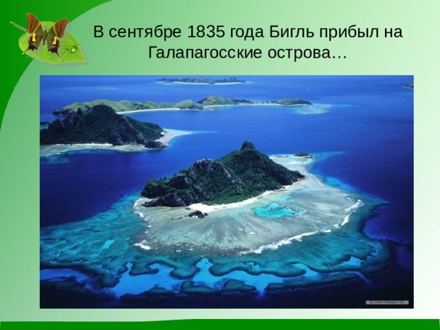 В сентябре 1835 года Бигль прибыл на Галапагосские острова… 