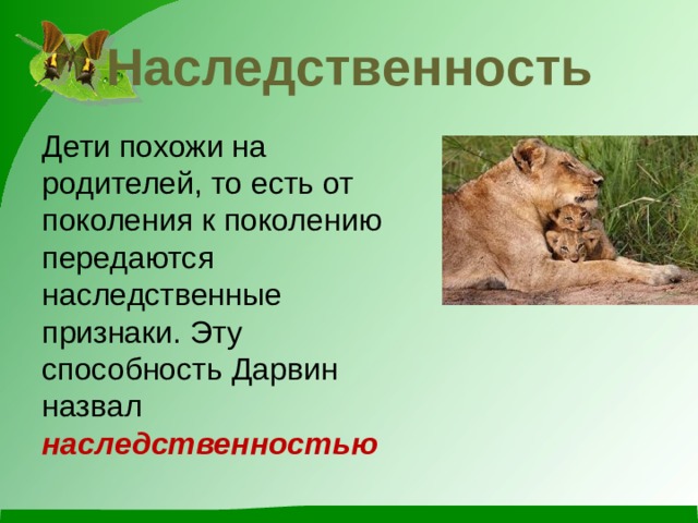 Наследственность Дети похожи на родителей, то есть от поколения к поколению передаются наследственные признаки. Эту способность Дарвин назвал наследственностью 