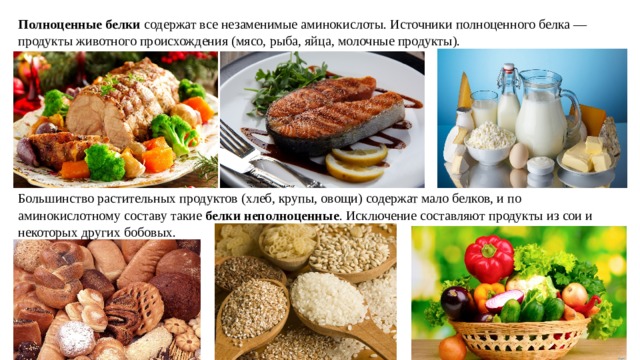 Основной источник полноценных белков