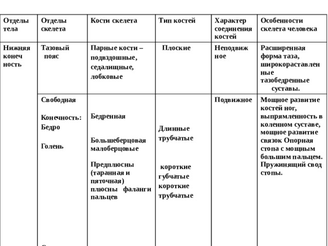 Таблица отдел. Таблица по биологии 8 класс отделы скелета. Соединения костей верхней конечности таблица. Скелет нижних конечностей отделы строение соединения костей. Таблица отделы тела отделы скелета кости образующие скелет.