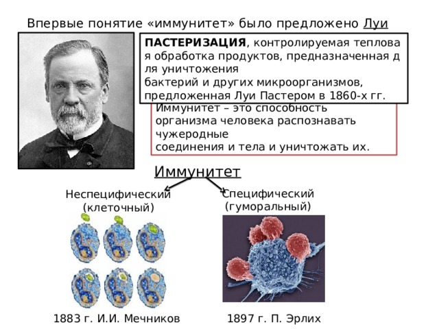 Впервые понятие «иммунитет» было предложено  Луи Пастером . ПАСТЕРИЗАЦИЯ , контролируемая тепловая обработка продуктов, предназначенная для уничтожения бактерий и других микроорганизмов,  предложенная Луи Пастером в 1860-х гг. Иммунитет – это способность организма человека распознавать чужеродные соединения и тела и уничтожать их. Иммунитет Специфический (гуморальный) Неспецифический (клеточный) 1883 г. И.И. Мечников 1897 г. П. Эрлих 