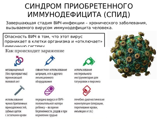 СИНДРОМ ПРИОБРЕТЕННОГО ИММУНОДЕФИЦИТА (СПИД) Завершающая стадия ВИЧ-инфекции – хронического заболевания, вызываемого вирусом иммунодефицита человека. Опасность ВИЧ в том, что этот вирус проникает в клетки организма и «отключает» иммунную систему. 