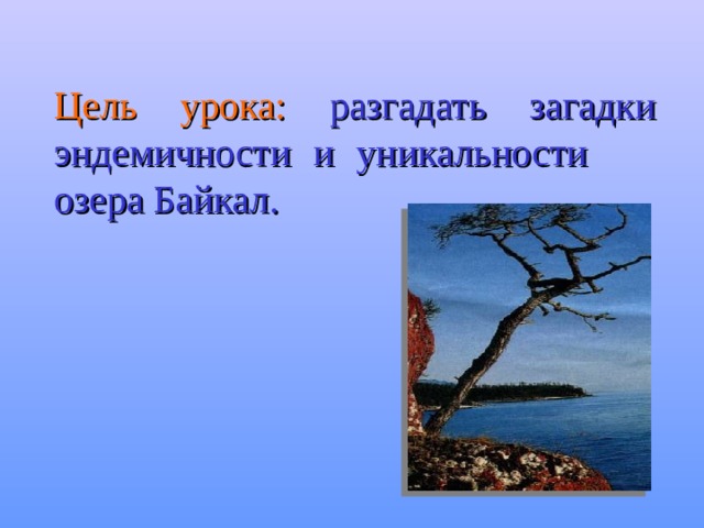 Цель урока:  разгадать загадки эндемичности и уникальности озера Байкал. 