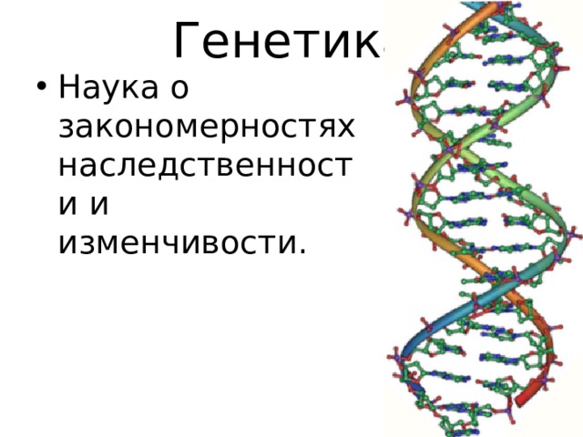 Генетика Наука о закономерностях наследственности и изменчивости. 