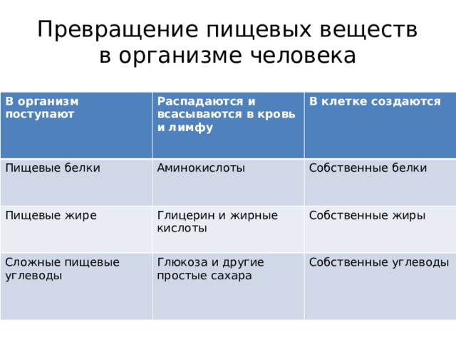 Превращение пищевых веществ в организме человека В организм поступают Распадаются и всасываются в кровь и лимфу Пищевые белки В клетке создаются Аминокислоты Пищевые жире Глицерин и жирные кислоты Собственные белки Сложные пищевые углеводы Собственные жиры Глюкоза и другие простые сахара Собственные углеводы 