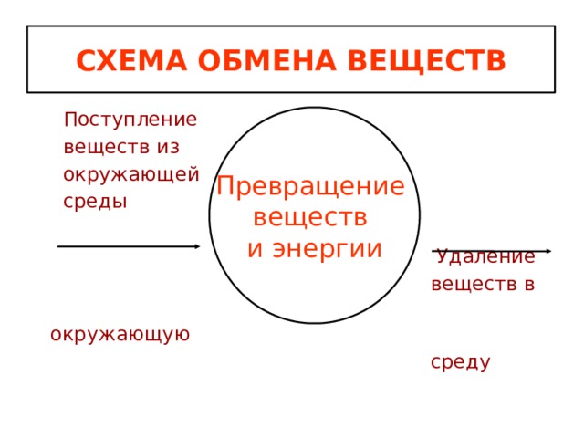 Схема обмена