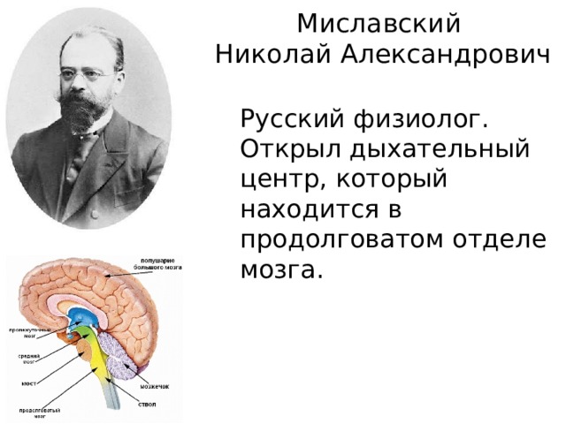 Миславский  Николай Александрович Русский физиолог. Открыл дыхательный центр, который находится в продолговатом отделе мозга. 