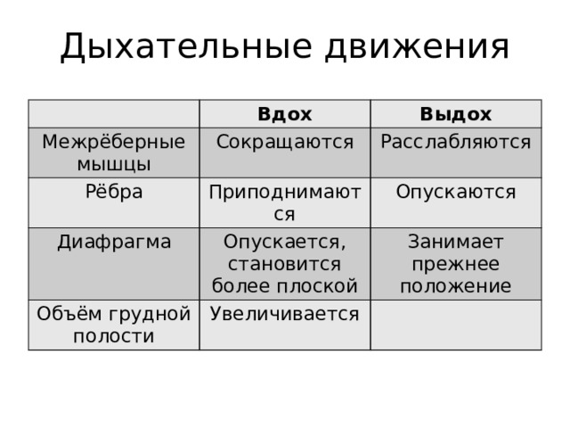 Заполните словесную схему механизма дыхания