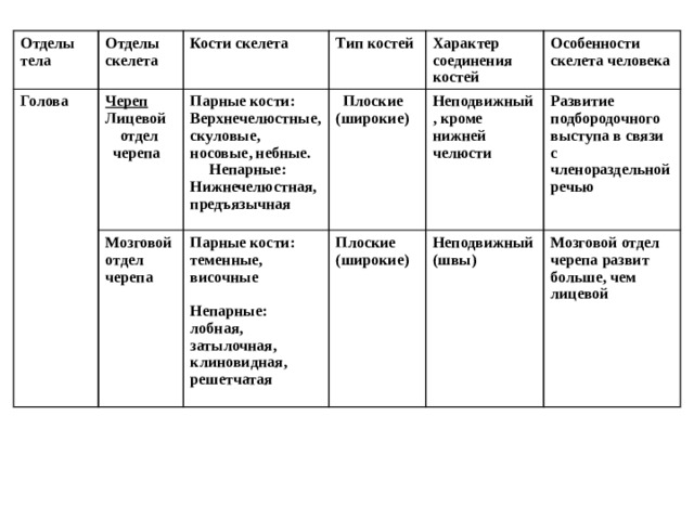 Отделы скелета и типы соединения костей