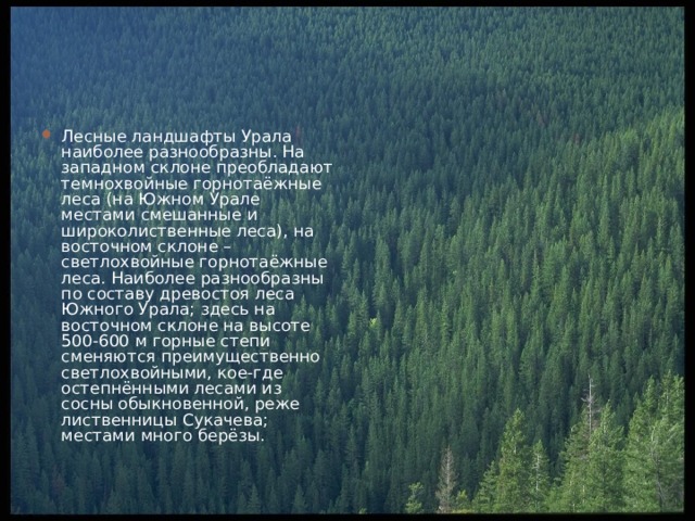 Лесные ландшафты Урала наиболее разнообразны. На западном склоне преобладают темнохвойные горнотаёжные леса (на Южном Урале местами смешанные и широколиственные леса), на восточном склоне – светлохвойные горнотаёжные леса. Наиболее разнообразны по составу древостоя леса Южного Урала; здесь на восточном склоне на высоте 500-600 м горные степи сменяются преимущественно светлохвойными, кое-где остепнёнными лесами из сосны обыкновенной, реже лиственницы Сукачева; местами много берёзы. 