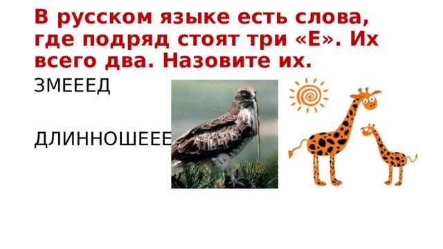 Где подряд. Длинношеее Змееед. Слово Змееед. Слова с тремя буквами е подряд в русском языке. Слово с 3 буквами е подряд.