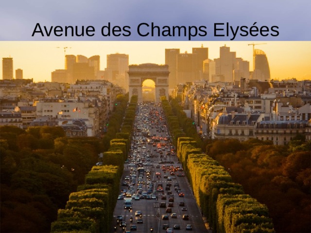 Avenue des Champs Elysées 