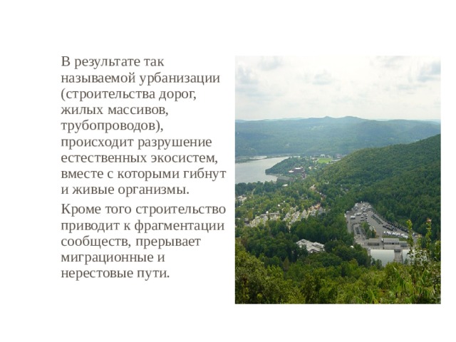   В результате так называемой урбанизации (строительства дорог, жилых массивов, трубопроводов), происходит разрушение естественных экосистем, вместе с которыми гибнут и живые организмы.  Кроме того строительство приводит к фрагментации сообществ, прерывает миграционные и нерестовые пути. 