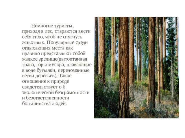   Немногие туристы, приходя в лес, стараются вести себя тихо, чтоб не спугнуть животных. Популярные среди отдыхающих места как правило представляют собой жалкое зрелище(вытоптанная трава, горы мусора, плавающие в воде бутылки, переломанные ветви деревьев). Такое отношение к природе свидетельствует о б экологической безграмотности и безответственности большинства людей. 