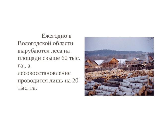   Ежегодно в Вологодской области вырубаются леса на площади свыше 60 тыс. га , а лесовосстановление проводится лишь на 20 тыс. га. 
