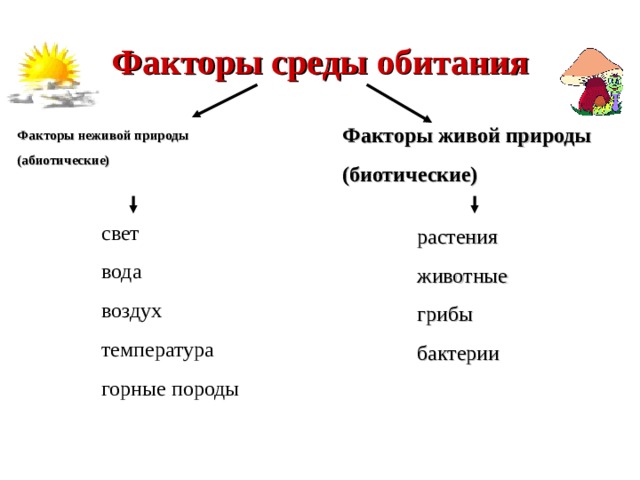 В каком примере использовано олицетворение изображение неживых предметов в виде живых существ