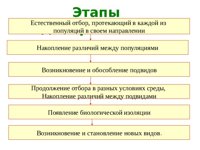 Используя рисунок 53 охарактеризуйте основные этапы географического видообразования