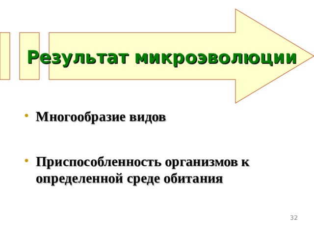 Результат микроэволюции Многообразие видов Приспособленность организмов к определенной среде обитания   