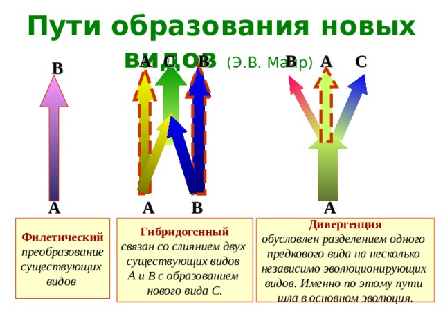 Какой способ видообразования изображен на рисунке