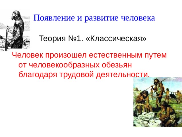 Появление и развитие человека Теория №1. «Классическая» Человек произошел естественным путем от человекообразных обезьян благодаря трудовой деятельности. 