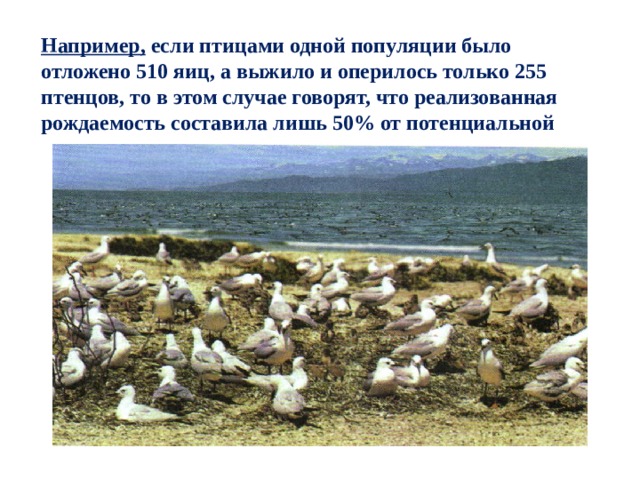 Например, если птицами одной популяции было отложено 510 яиц, а выжило и оперилось только 255 птенцов, то в этом случае говорят, что реализованная рождаемость составила лишь 50% от потенциальной 