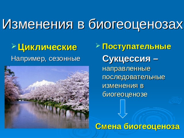 Смена биогеоценоза. Изменения в биогеоценозах. Цтклические и поступательнве изменени экосистем. Циклические и поступательные изменения в экосистеме. Циклические изменения биогеоценозов.