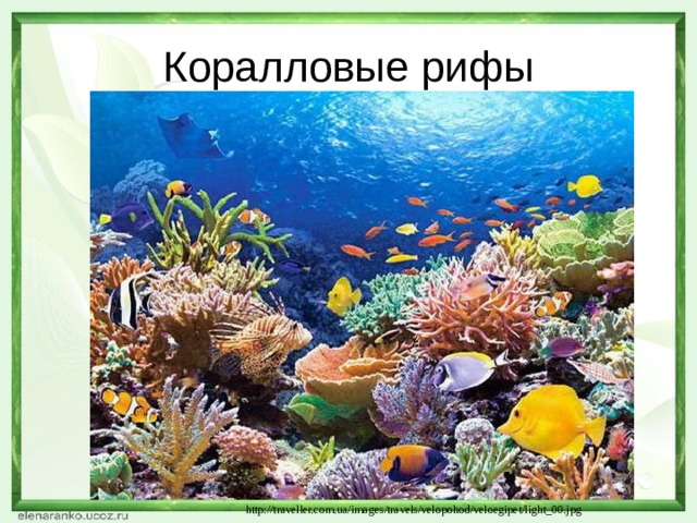 Коралловые рифы http://traveller.com.ua/images/travels/velopohod/veloegipet/light_00.jpg 