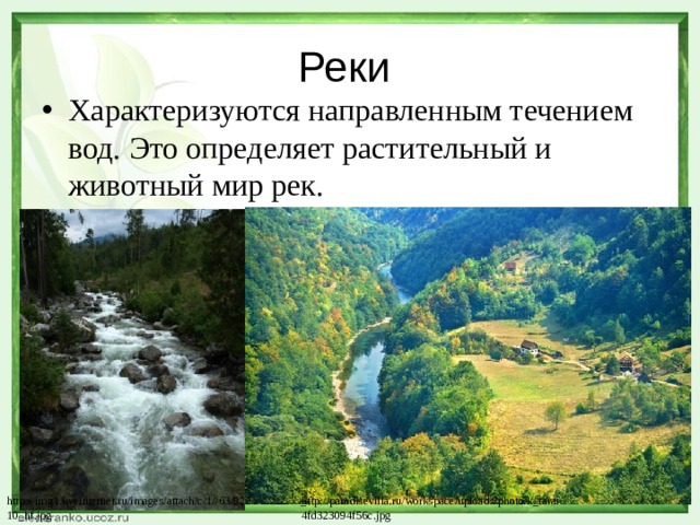 Реки Характеризуются направленным течением вод. Это определяет растительный и животный мир рек. http://img1.liveinternet.ru/images/attach/c/1//63/929/63929703_P7306310_hf.jpg http://paradisevilla.ru/workspace/uploads/photo/k_tara-4fd323094f56c.jpg 