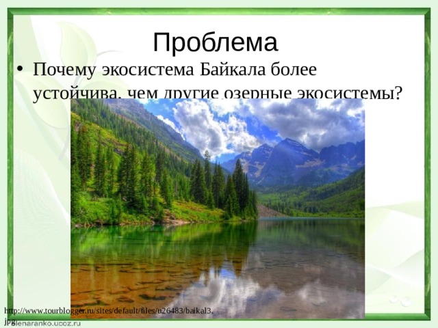 Проблема Почему экосистема Байкала более устойчива, чем другие озерные экосистемы? http://www.tourblogger.ru/sites/default/files/u26483/baikal3.jpg 
