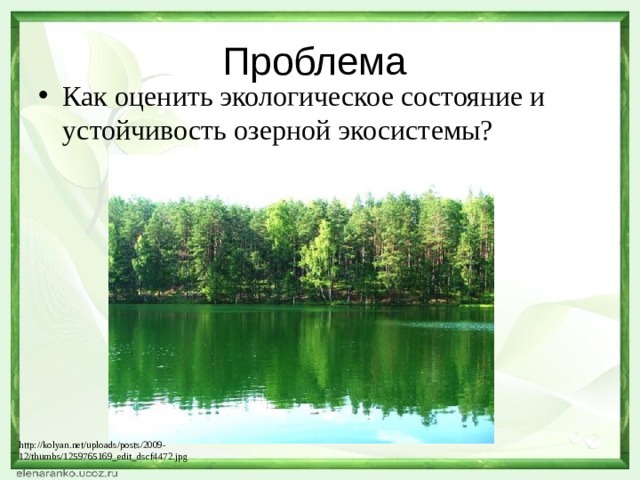 Проблема Как оценить экологическое состояние и устойчивость озерной экосистемы? http://kolyan.net/uploads/posts/2009-12/thumbs/1259765169_edit_dscf4472.jpg 