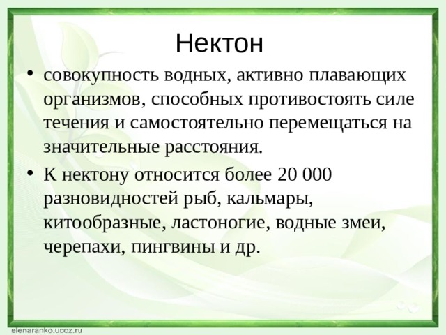 Нектон совокупность водных, активно плавающих организмов, способных противостоять силе течения и самостоятельно перемещаться на значительные расстояния. К нектону относится более 20 000 разновидностей рыб, кальмары, китообразные, ластоногие, водные змеи, черепахи, пингвины и др. 